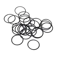 Formlabs Fuse 1+ 30W IR Sensor O-Ring Kit