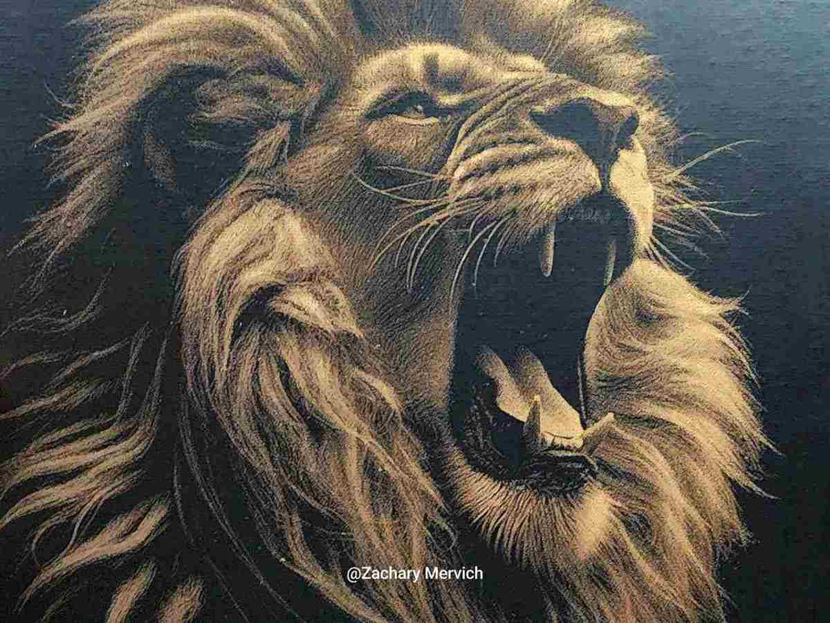 3D принтер із лазером 40 Вт - Розписне полотно