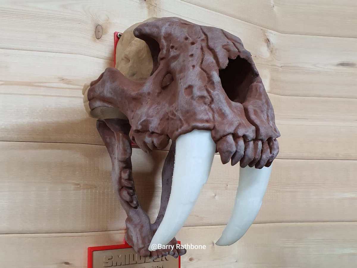 3D Друк двома екструдерами PLA і PETG